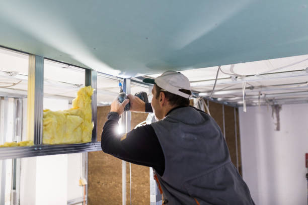Best Insulation Contractor Near Me  in Briar, TX