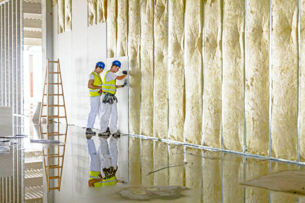 Best Blown-in Insulation  in Briar, TX
